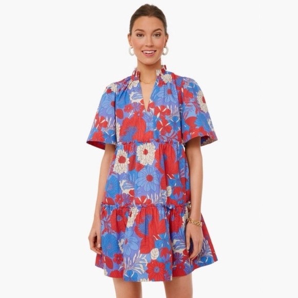 Tuckernuck Blue Rhapsody Crawford Dress Xxl Floral Tiered Mini Short Sleeve